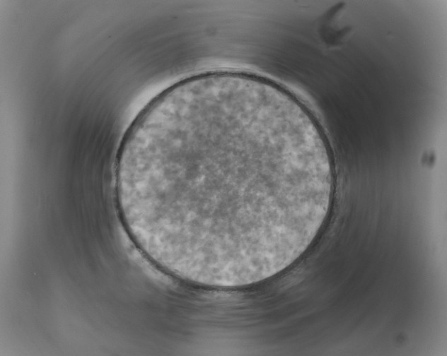 X0000112101287200909151151