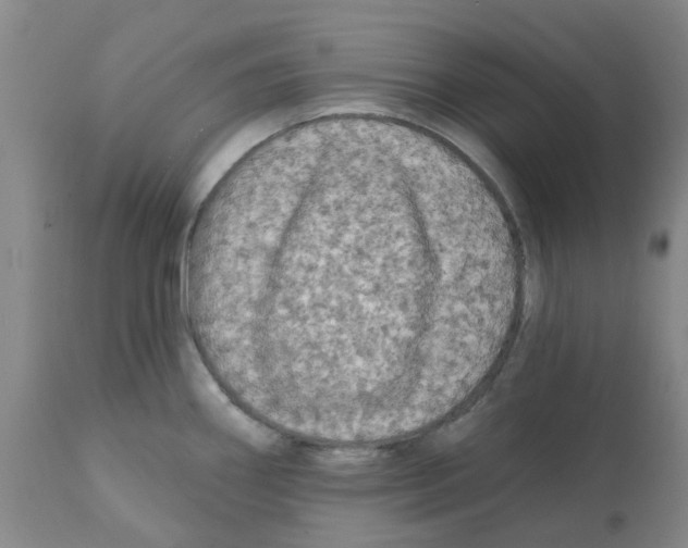 X0000112101290200909151151