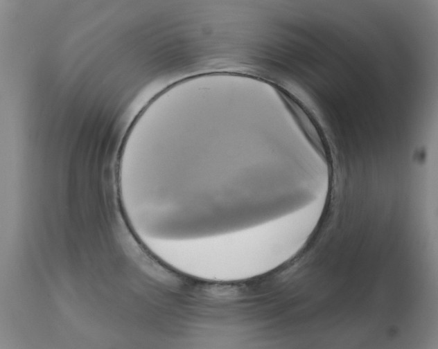 X0000112101291200909151151