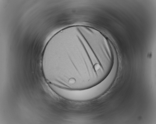 X0000112101292200909151151