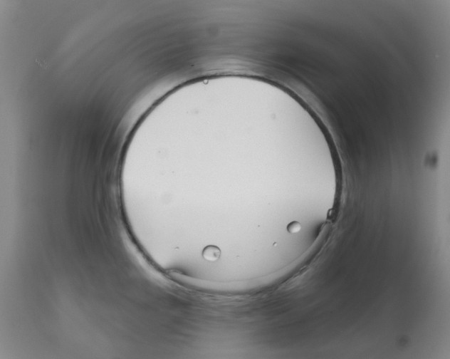 X0000112101293200909151151