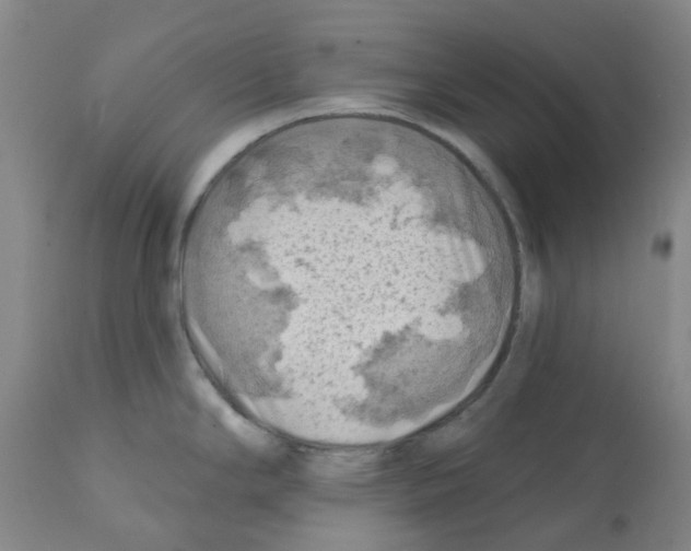X0000112101294200909151151