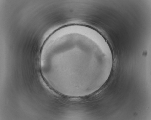 X0000112101295200909151151