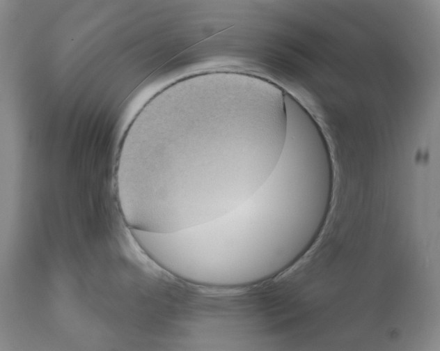 X0000112101296200909151151