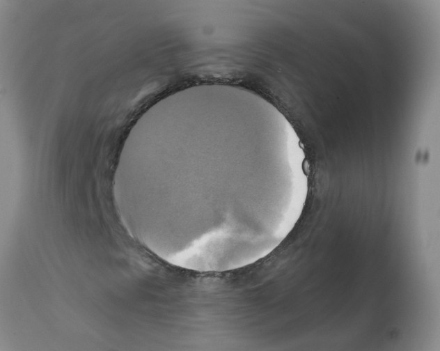 X0000112101297200909151150