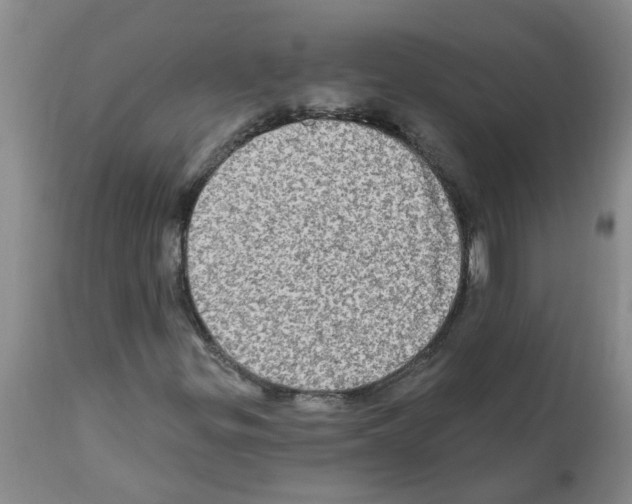 X0000112101299200909151150