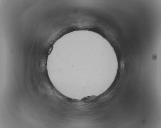 X0000112101300200909151150