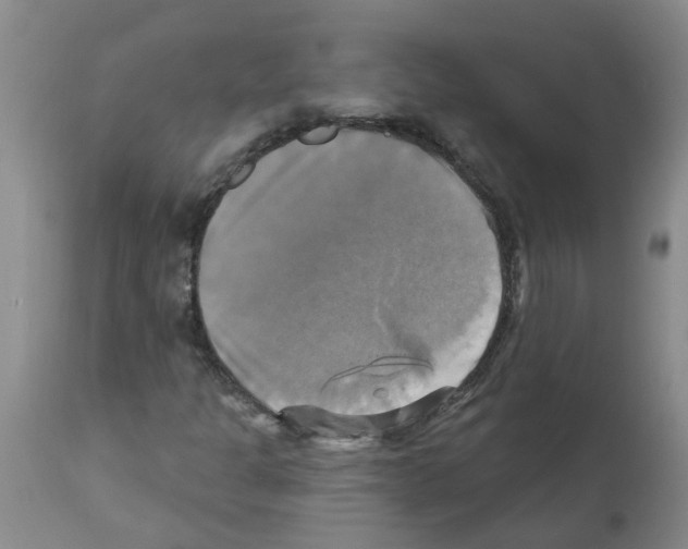 X0000112101301200909151150