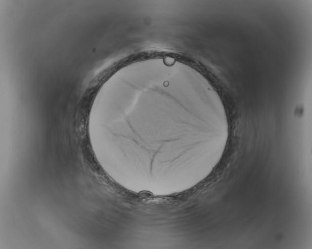 X0000112101303200909151150