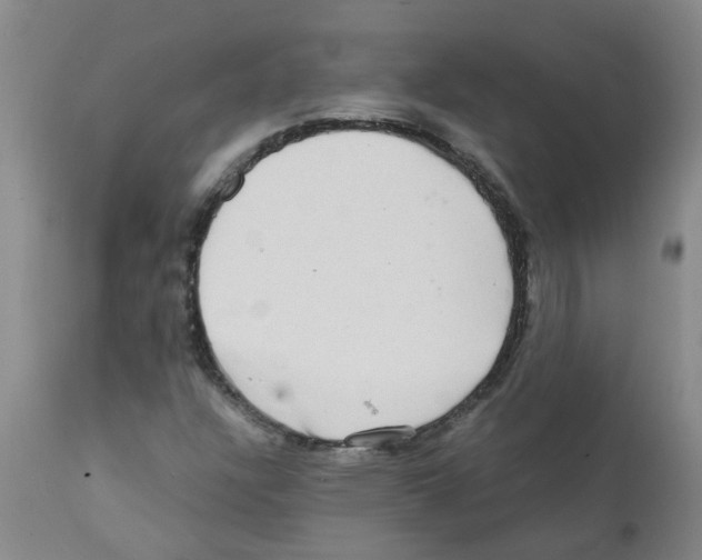 X0000112101304200909151150