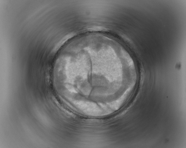 X0000112101305200909151150