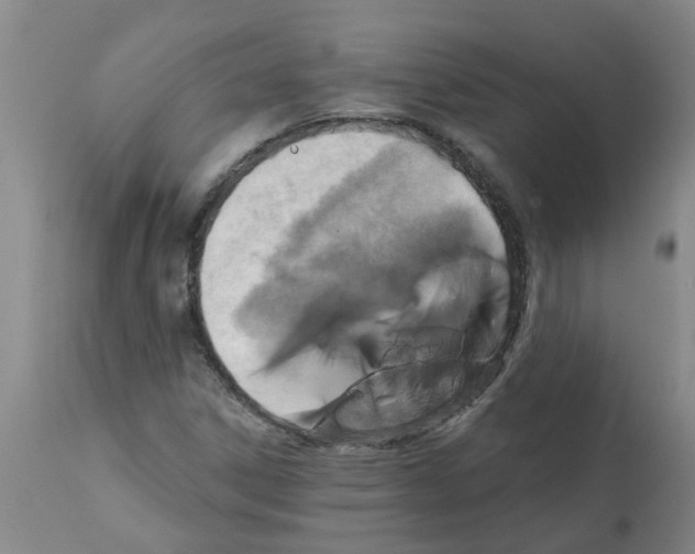 X0000112101306200909151150