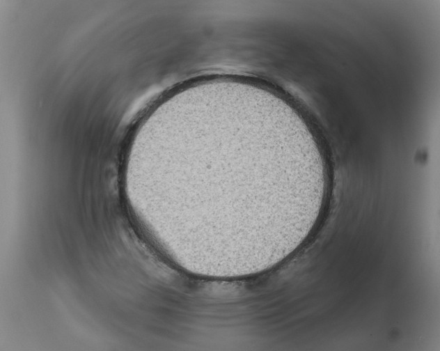 X0000112101307200909151150