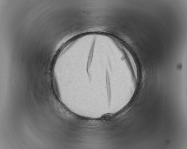 X0000112101308200909151150