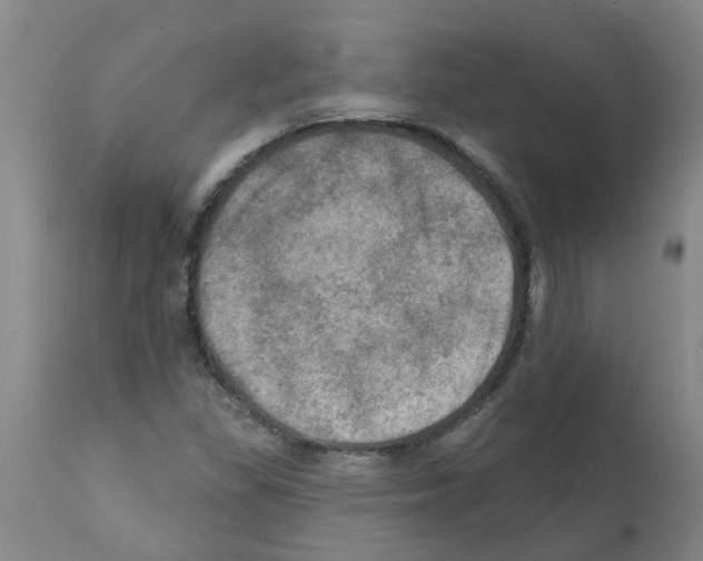 X0000112101309200909151150