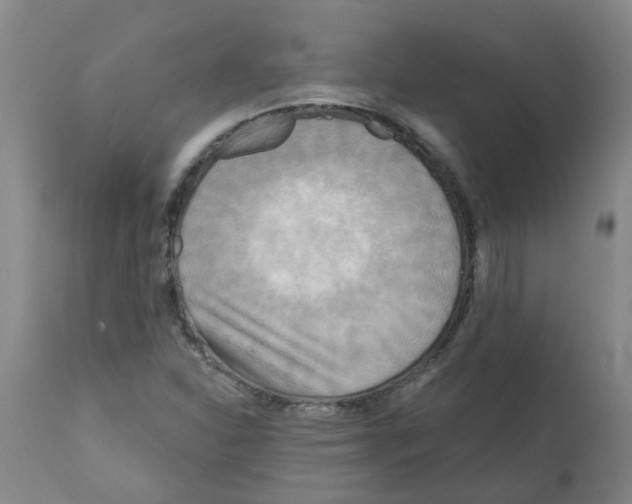 X0000112101310200909151150