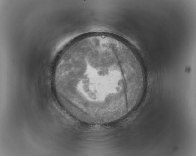 X0000112101311200909151150
