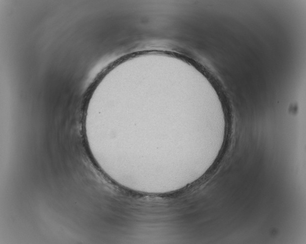X0000112101312200909151150
