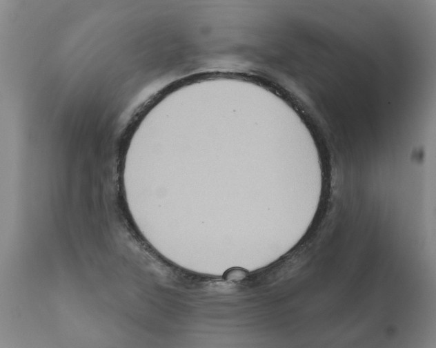 X0000112101315200909151150