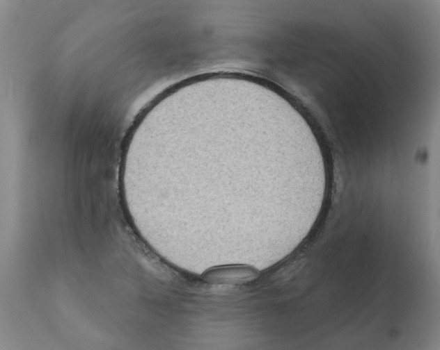 X0000112101316200909151150