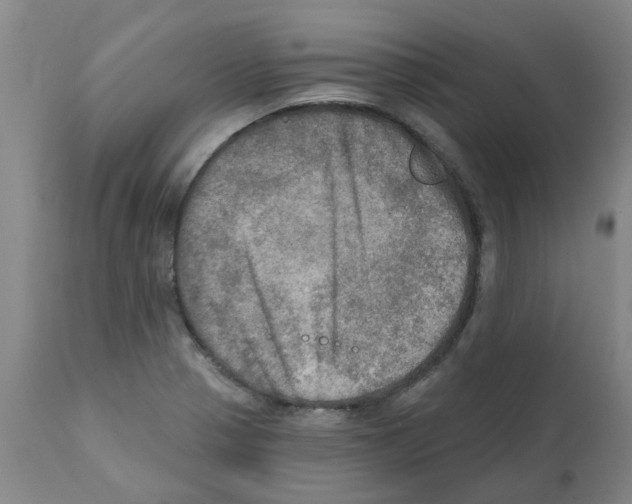 X0000112101321200909151150