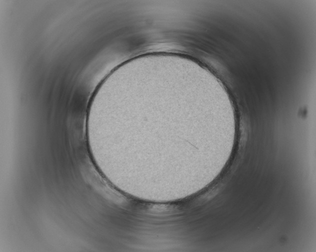 X0000112101322200909151150