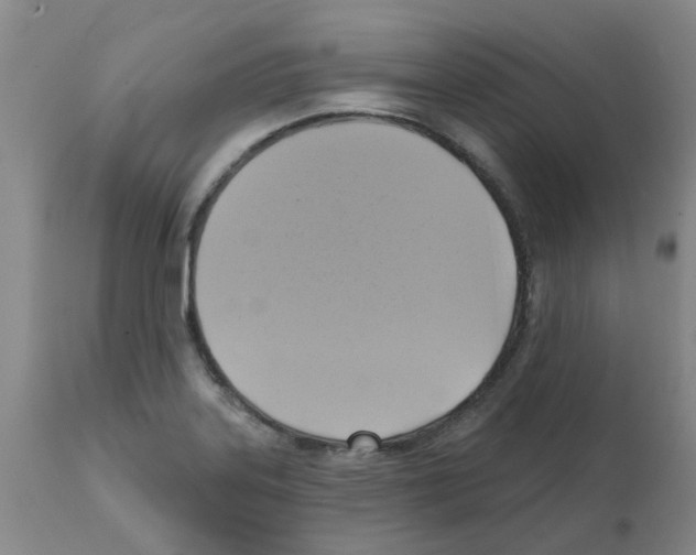 X0000112101323200909151150