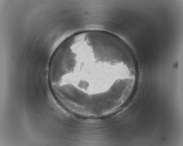 X0000112101325200909151150