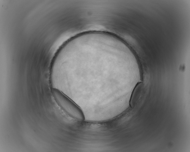 X0000112101326200909151150