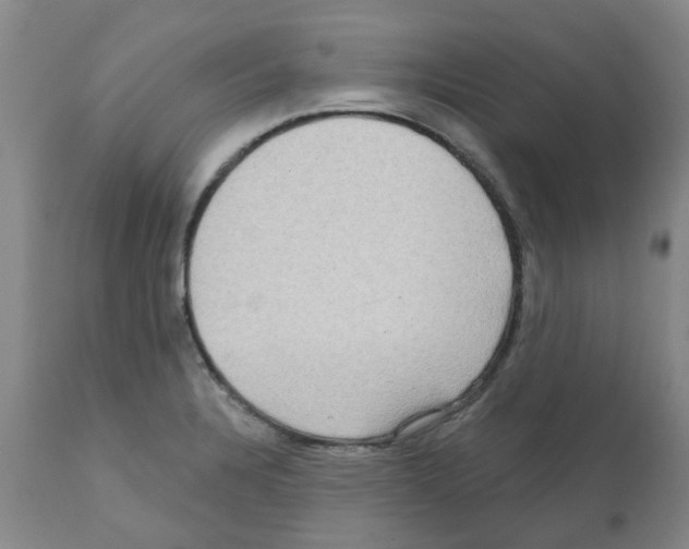 X0000112101328200909151150