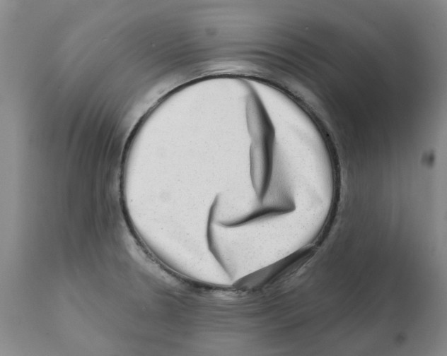 X0000112101330200909151150
