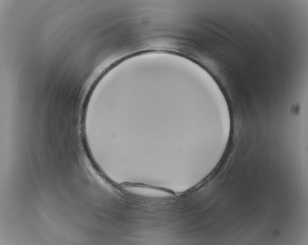 X0000112101331200909151150