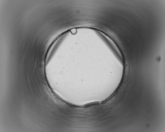 X0000112101332200909151150
