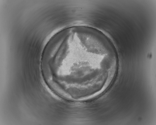 X0000112101333200909151150