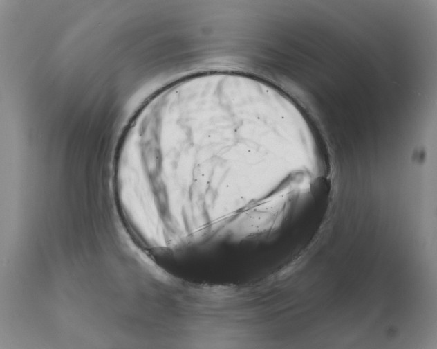 X0000112101334200909151150