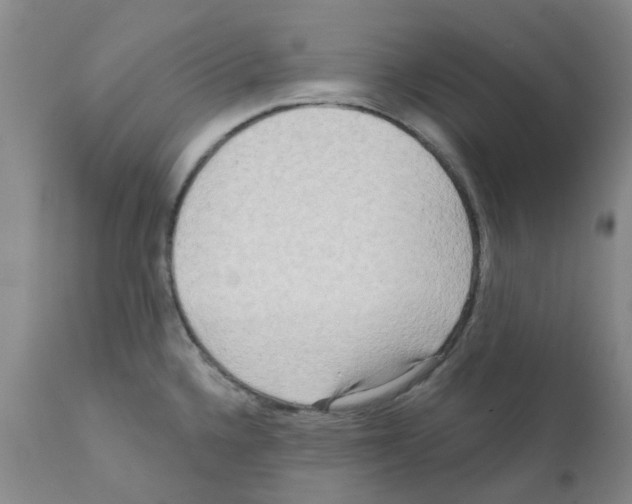 X0000112101336200909151151