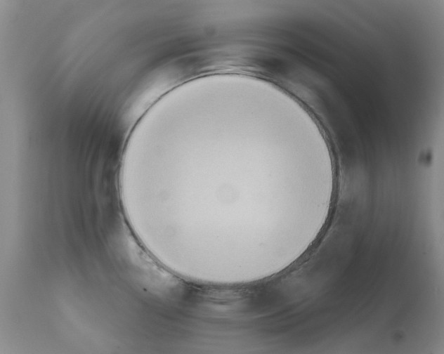 X0000112101338200909151151