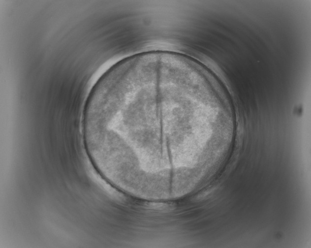 X0000112101339200909151151