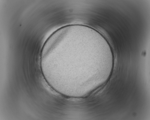 X0000112101340200909151151