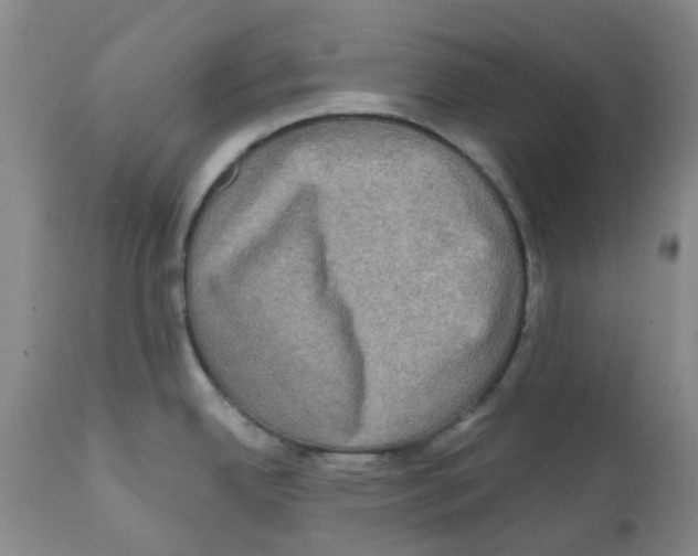 X0000112101342200909151151