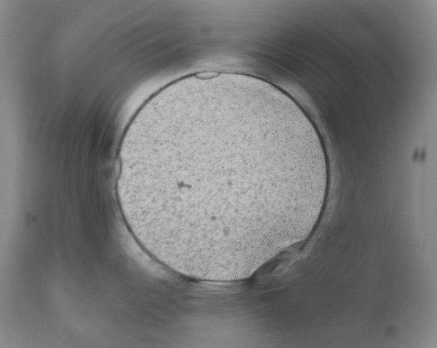 X0000112101344200909151151
