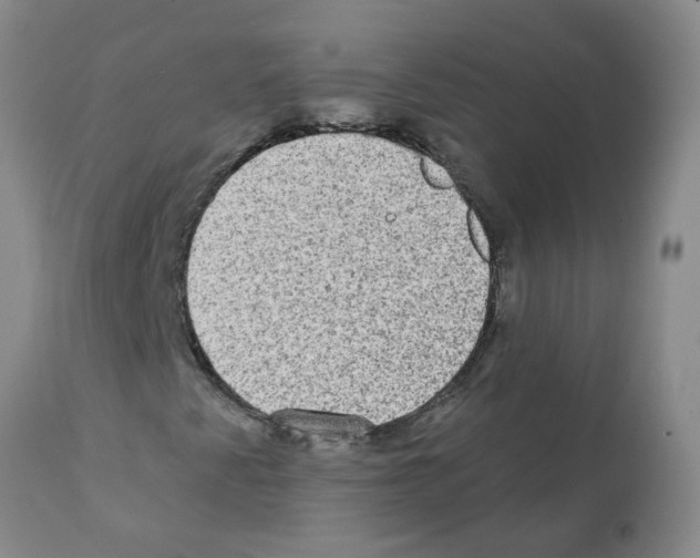 X0000112101345200909151150
