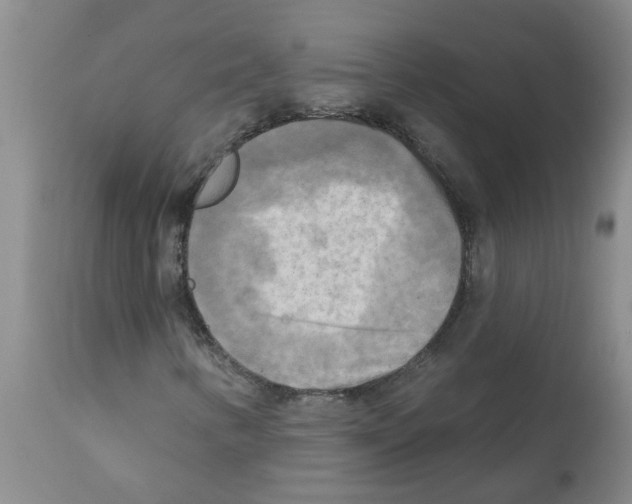 X0000112101346200909151150