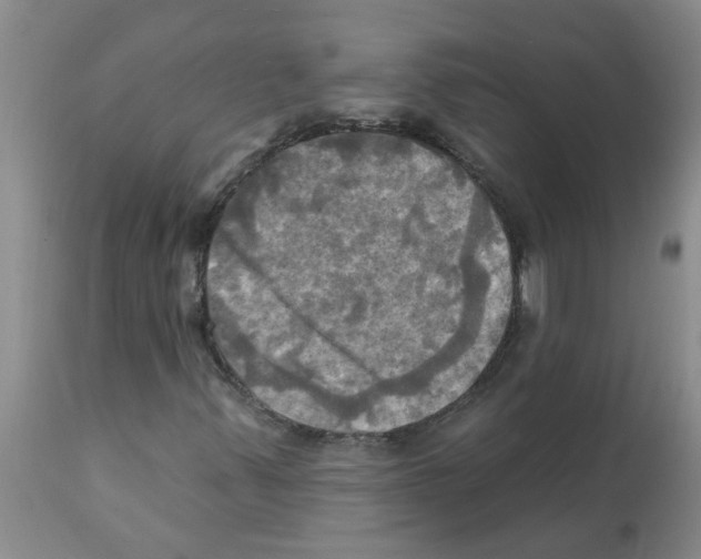 X0000112101347200909151150