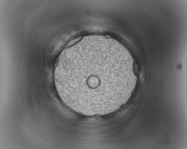 X0000112101348200909151150
