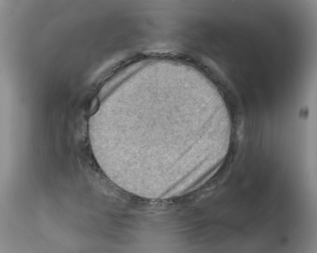 X0000112101350200909151150