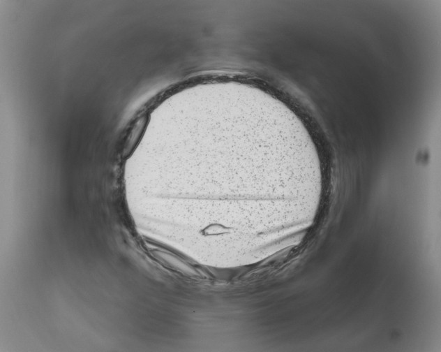 X0000112101352200909151150