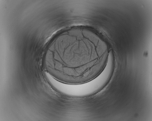X0000112101353200909151150