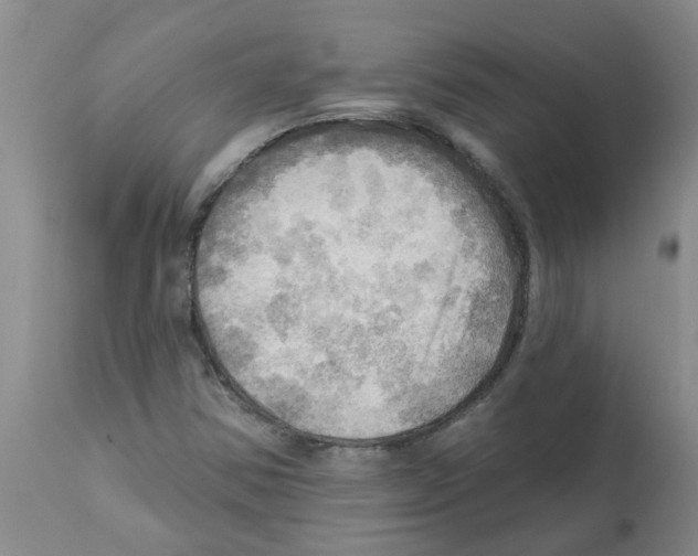 X0000112101354200909151150