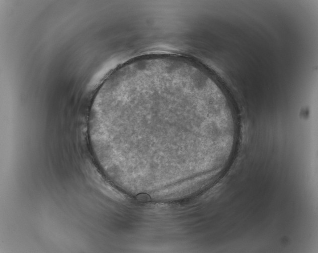 X0000112101355200909151150